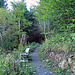 auf dem Weg von Hinter Erstböhl zum Gartenwald hinauf