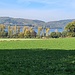 Bis ich den Wald verlassen habe, ist die Sicht wesentlich klarer geworden