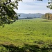 Große Weideflächen zwischen dem See rechts und dem Wanderweg links