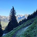 Sicht zum Säntis