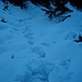 Kurzzeitig wird`s winterlich,  ....