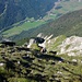 Aufstiegsflanke zur Kohlbergspitze - ziemlich mühsames Schrofengelände