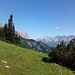 schöner Spaziergang auf dem Alpenrosensteig