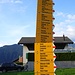 Hält den Rekord "längster Schilderbaum der Schweiz"?