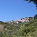 Glossa