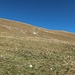 Rückblick