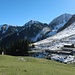 Die Baumgartenalm