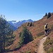 Höhenweg zur Alp Murtera Dadoura mit verblühten Heidelbeersträuchern