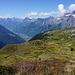 Schöne Heidelandschaft auf der Alp Fesis