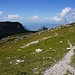 Auf dem Wisschamm 