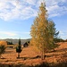 Perštejn, am Ortsrand