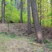 Kleine Haldenschüttung