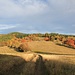 Erzgebirgslandschaft<br />Der Herbst als „Landschaftsmaler“ hat verschwenderisch Farben verteilt, die von der tiefstehenden Sonne spektakulär beleuchtet werden. Über allem weht noch einmal ein lauer Herbstwind.