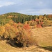 Erzgebirgslandschaft
