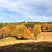 Erzgebirgslandschaft