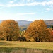 Herbstimpressionen