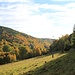 Tal bei Vykmanov (Weigensdorf)