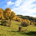 Tal oberhalb Vykmanov