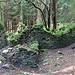 Ruine des einstigen Forsthauses Weigensdorf