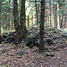 Ruine des einstigen Forsthauses Weigensdorf, Nebengebäude