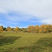 Erzgebirgslandschaft bei Mýtinka