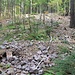Mineralienschürfe