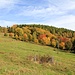 Erzgebirgslandschaft