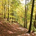 Steiler Wanderweg