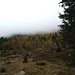 ... die das schlechte Wetter brachte<br />Danach folgten wir zuerst der Strasse und später dem Wanderweg zurück nach Göschenen