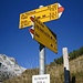 Alp erreicht