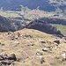 Blick hinunter nach Wildhaus
