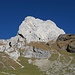 Blick zum Moor