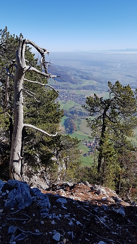 Tiefblick vom Gipfel P.1205m.