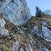 Hier stieg ich in die Tierbergflanke. Wohl zu tief??