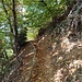 sul sentiero panoramico verso Montagnola