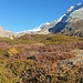Herbst, Hübschhorn, Monte-Leone-Gletscher und Wasenhorn