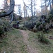 Sentiero per la Garzonera senza passare da Pian Taioi