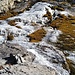 Der Bach überfriert langsam