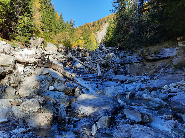 Le long de la Raspille, entre le Pichiour et l'ex P.1630.<br /><br />Impressionnants barrages naturels composés de troncs d'arbres emportés par les crues saisonnières.