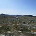 Die Hardangervidda zeigt hier alpines Flair