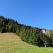 Prinzipiell liesse sich von hier der Elsighorn-Nordgrat auf steiler und verwachsener Route direkt erreichen...