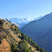 Blick zum Piz Palü