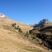 Alp Languard