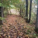 Aufstieg im malerischen Herbstwald