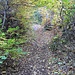 Wanderpfad