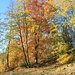 Im Windschatten: Volle Pracht!