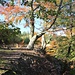 Burgplatz - Markvarecké hradiště, Steilabfall