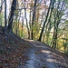 Verwunschener Bergweg: Zaubert Markierungen weg...