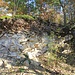Pläner-Steinbruch