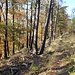 Okrouhlík, Wanderpfad